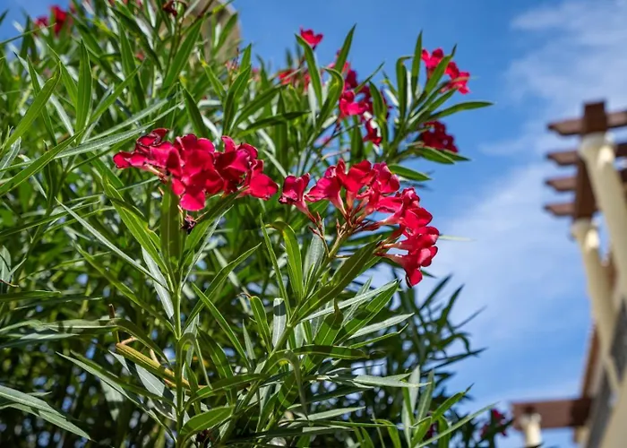 아파트 Casa Vista Brejos *